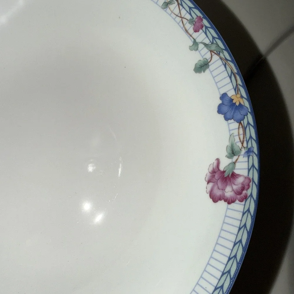 Oneida rimmed bowl